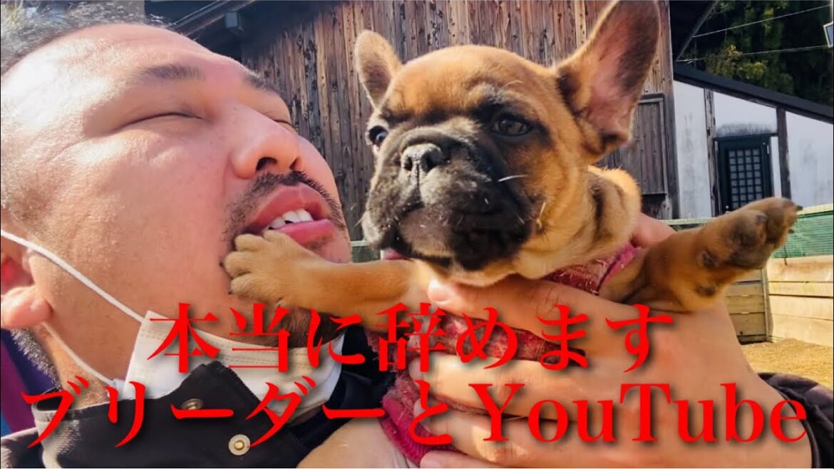 フレブル系YouTuberで日本一になったしFIREしたから全部辞めまーす