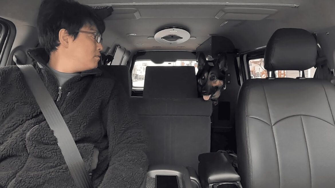 ママがいない日、愛犬とオヤジの実家へ行ってみました！【ジャーマンシェパード】