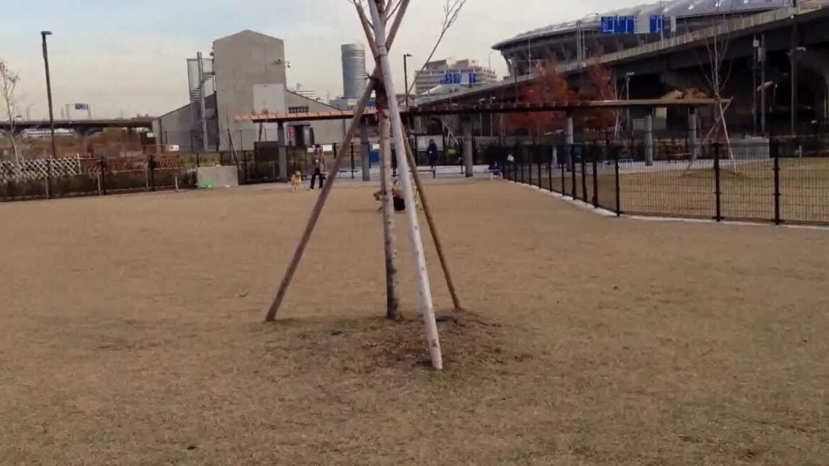 走るロンド君（バセット・ハウンド）＠新横浜公園ドッグラン