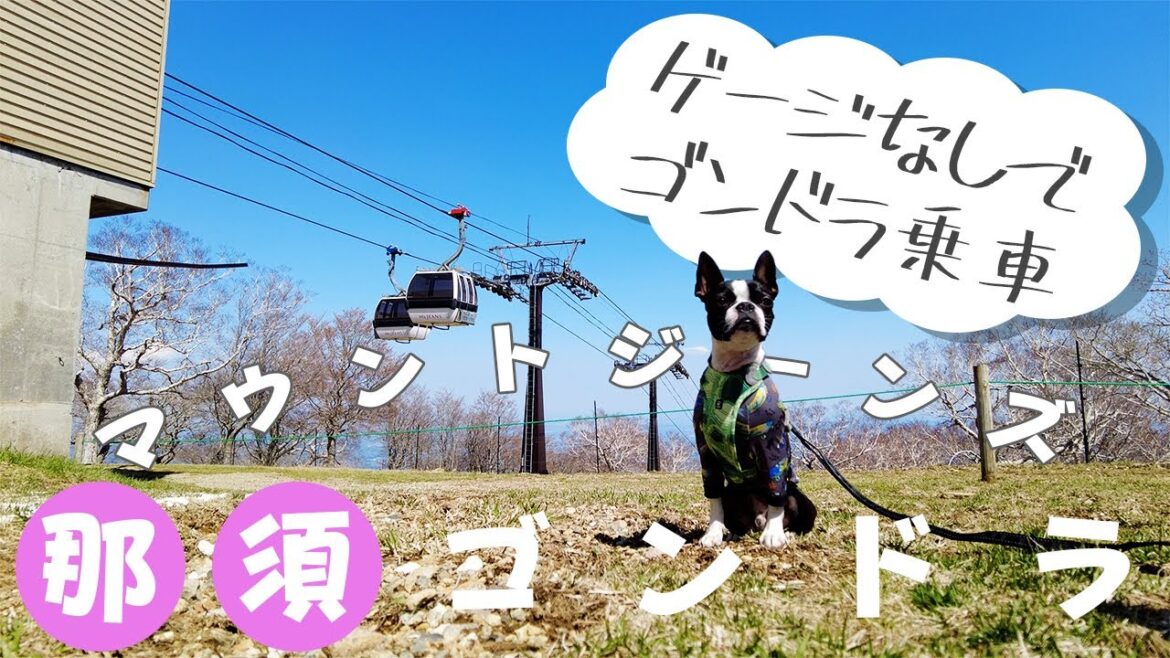 【ボストンテリア】ゲージなしで乗れるゴンドラで初めての那須を満喫🚠