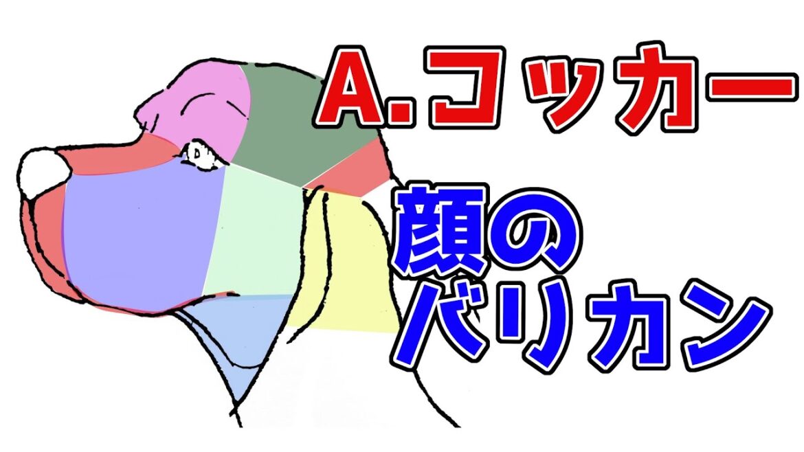 #106　【コッカーの顔バリカン】