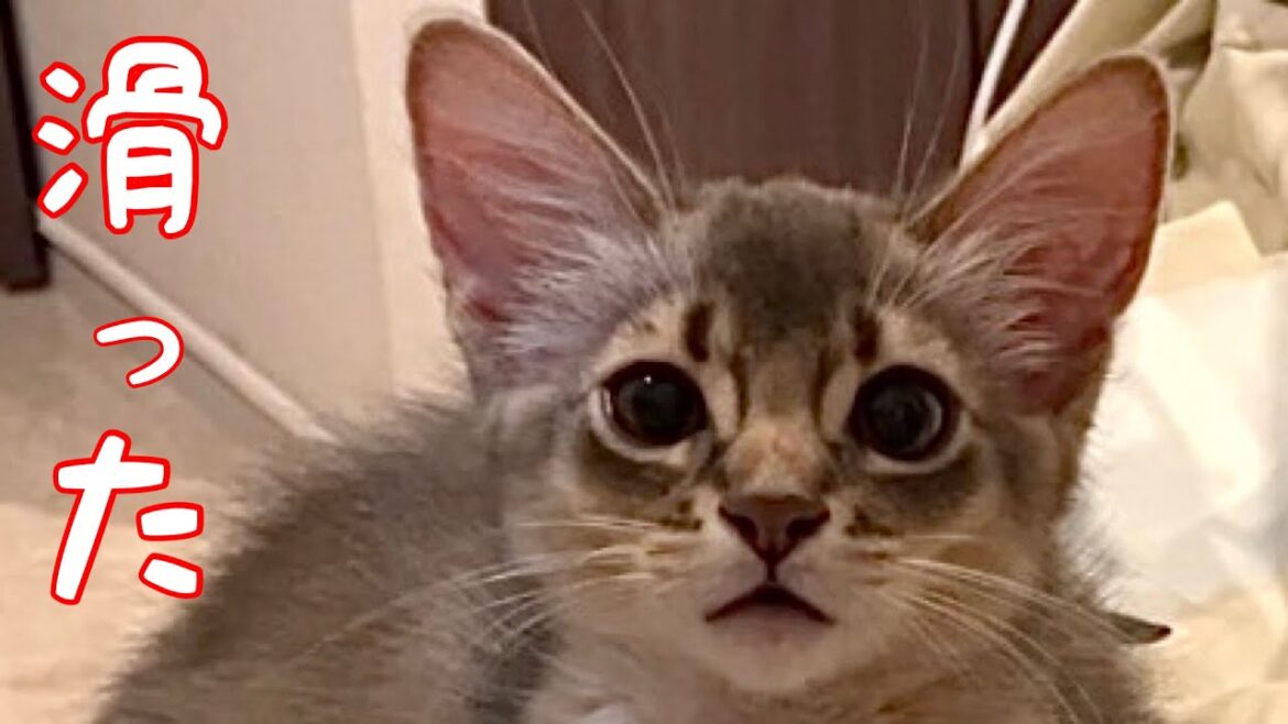 僕…滑って転んじゃったよ❣️【ソマリ】 僕…滑って転んじゃったよ❣️【ソマリ】