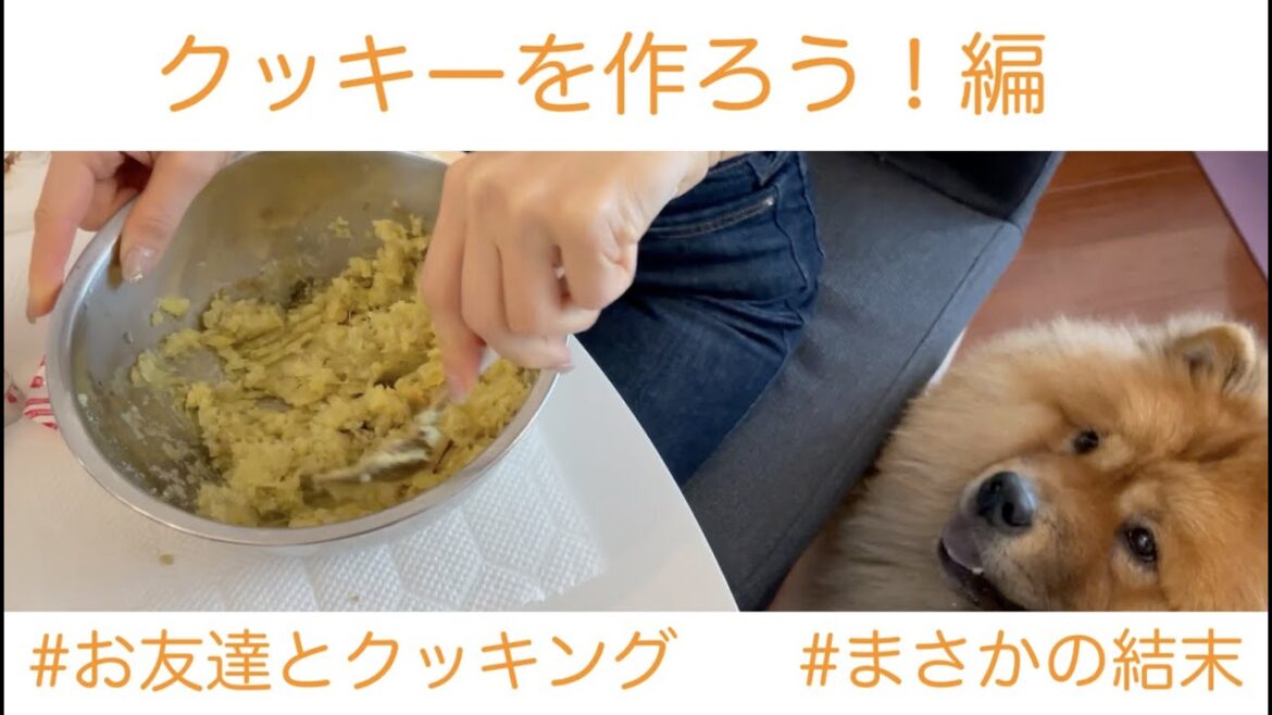 【グルメなチャウチャウ】クッキーを焼こう！