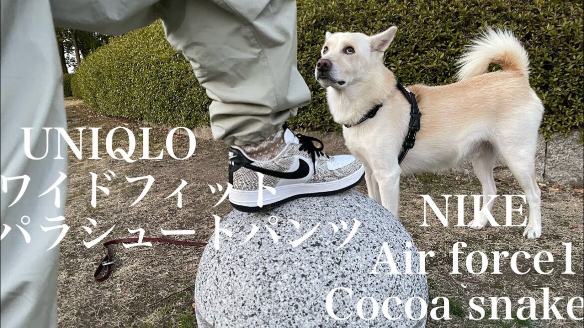 UNIQLOワイドフィットパラシュートパンツにLewis Leathers CYCLONEとNIKE Air Force１Cocoa SnakeのLOOK BOOK