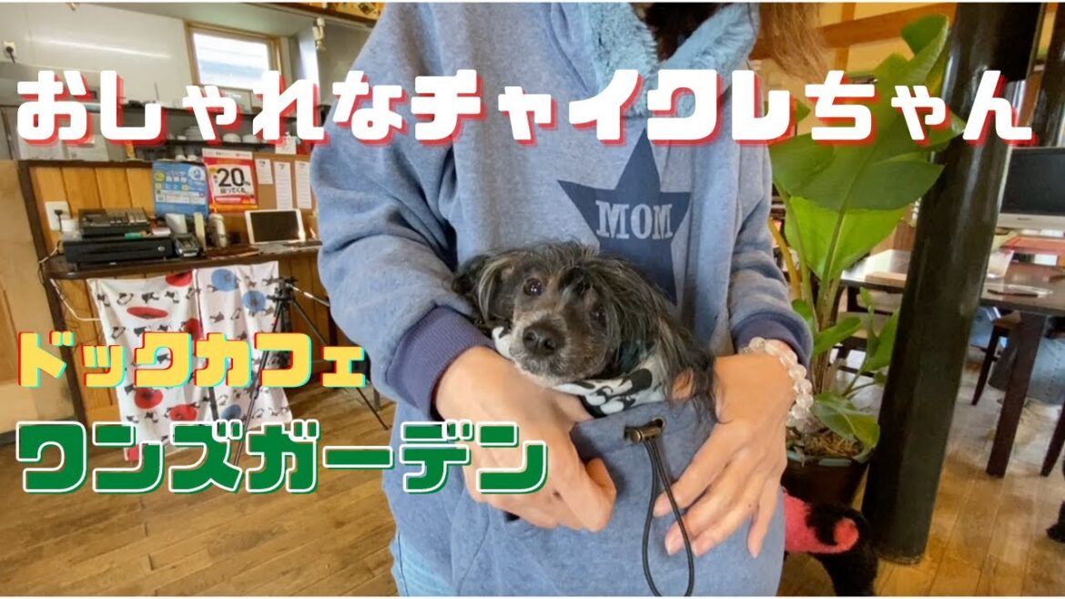 すっぽりとスリングに入るチャイクレ