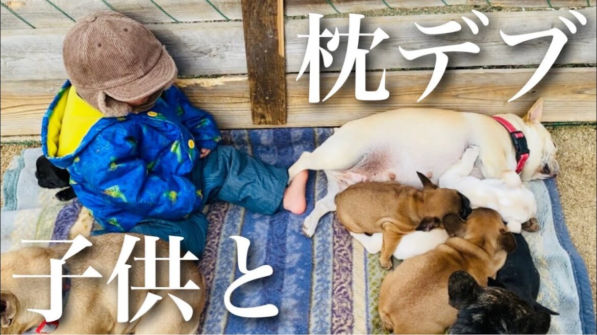 子供と枕デブ