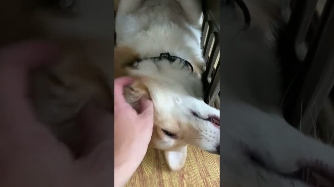 おはよーーーー