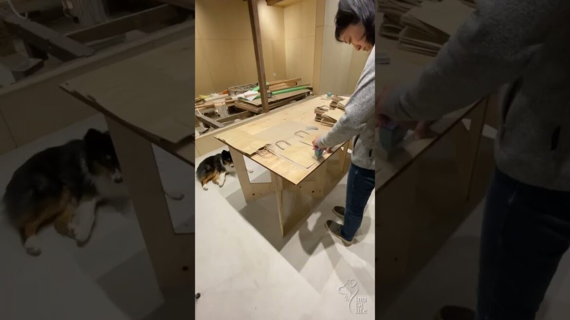 【オリジナル紙袋DIY】スタンプで簡単！オリジナル紙袋を作りました | ボーダーコリーのレイとオーストラリアンシェパードのハルと楽しむ豊かな暮らし | 島根県津和野町で田舎暮らし | #shorts