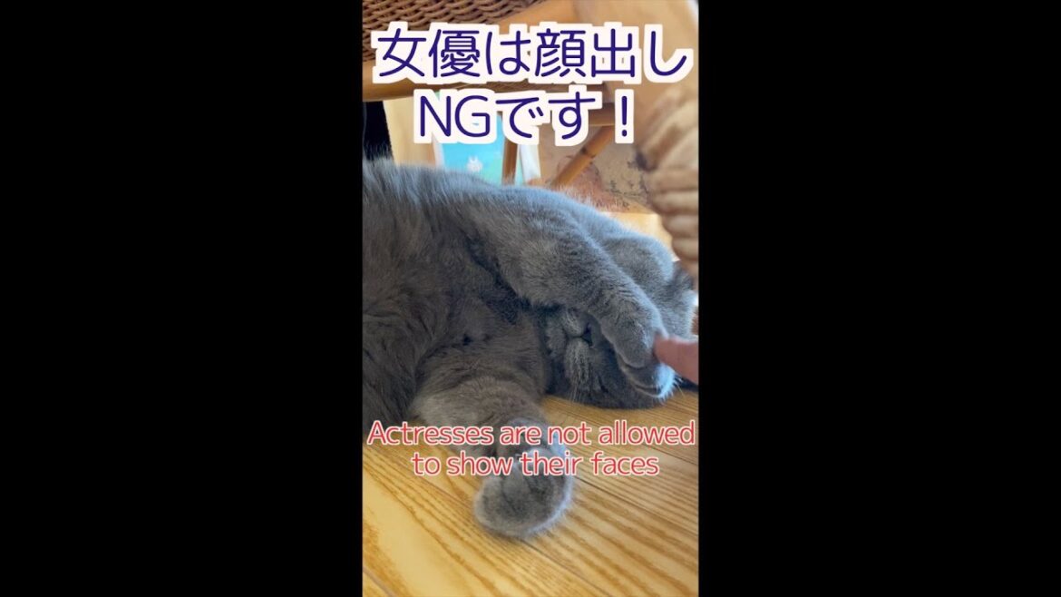 女優は顔を見せません【ブリティッシュショートヘア】