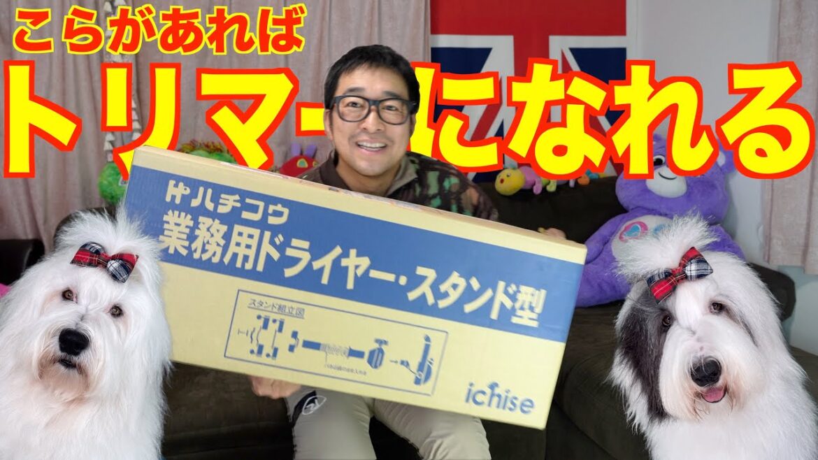 【トリマーになる⁉️】エリックはオハナとパトラの専属トリマーに❗️これさえ有ればもふもふ大型犬も怖くない‼️ 【トリマーになる⁉️】エリックはオハナとパトラの専属トリマーに❗️これさえ有ればもふもふ大型犬も怖くない‼️