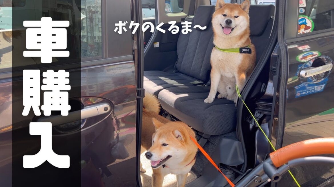 ずっと行きたかった場所に、家族みんなで行くことが出来ました