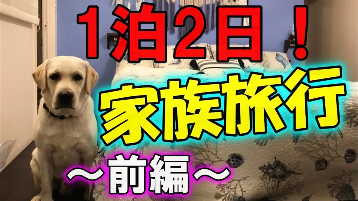 【旅行】☆前編☆貸し切り宿に泊まる！初めての家族旅行～ラブラドールレトリーバー～