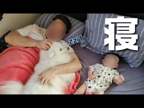 仲良く夕寝😴 仲良く夕寝😴