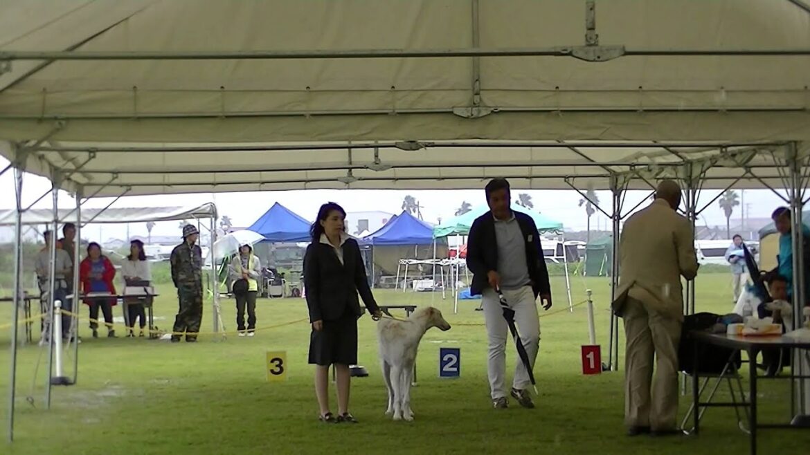 静岡東アフガンハウンドクラブ　第１０グループ展　vo.5