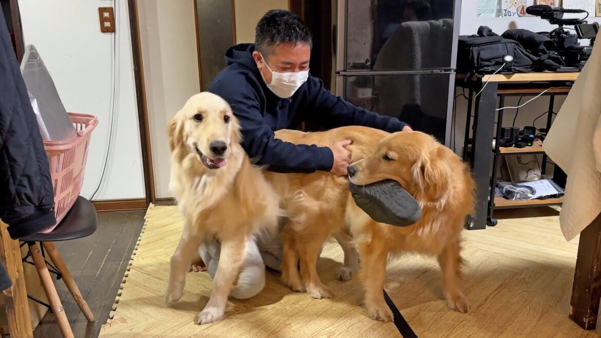 大好きなぴれパパが遊びにきてくれてすっかり元気になった愛犬