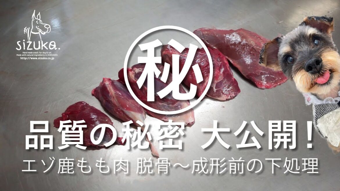犬猫のおやつsizuka　品質の秘密㊙大公開！エゾ鹿もも肉の脱骨～成形前の下処理まで　脱骨　無添加　手作り　北海道産　千歳　ジビエ_