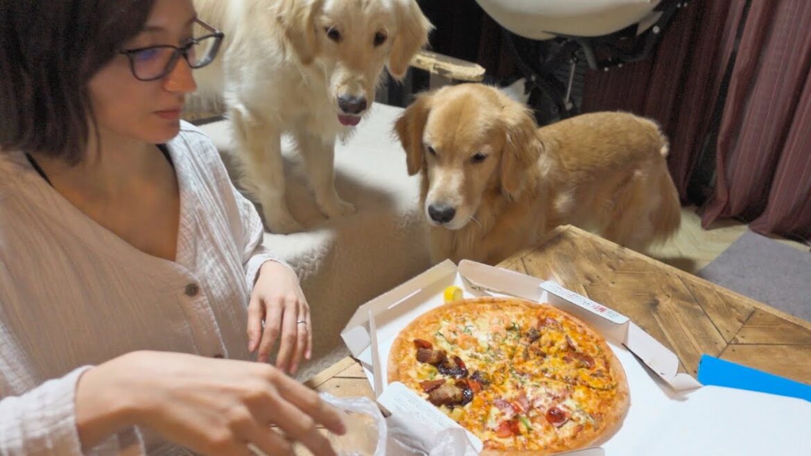 ピザーラにワンコ用ピザがある事を知ってしまったので今夜はピザ(笑)
