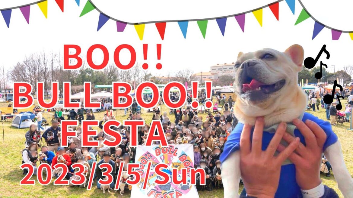 【BOO!! BULL BOO!! FESTA 2023】フレブル・ブルドッグ・パグ・ボステリ…鼻ぺちゃ犬が大集合で、そこら中からブヒブヒ聞こえてくる幸せなイベントが最高だった！