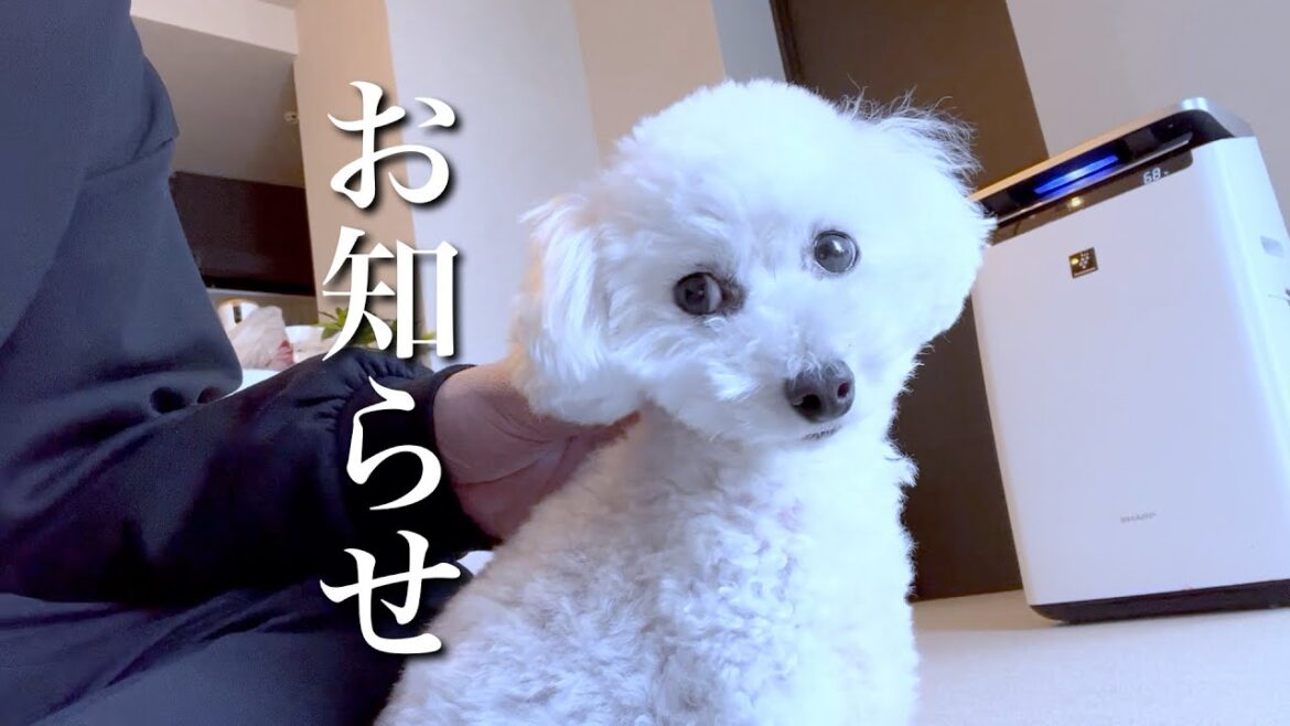 【ご報告】皆様へお伝えしたいことがあります