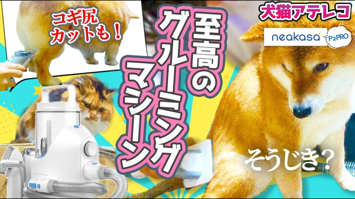 【犬猫アテレコ】来いやぁ換毛期！セルフコギ尻カットも余裕⁉なネアカサP2PRO