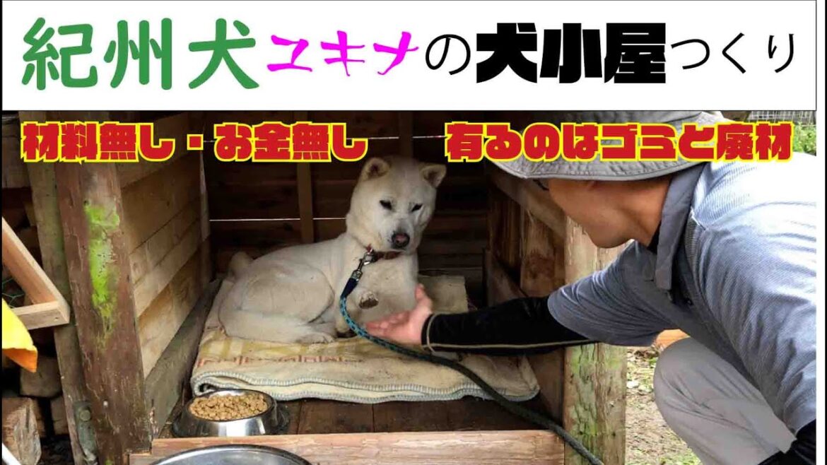 紀州犬ユキナのため！0円犬小屋作り