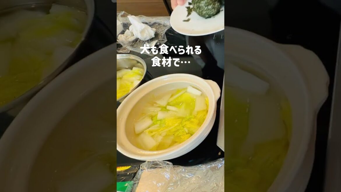 【かわいい犬料理】バーニーズマウンテンドッグのお鍋