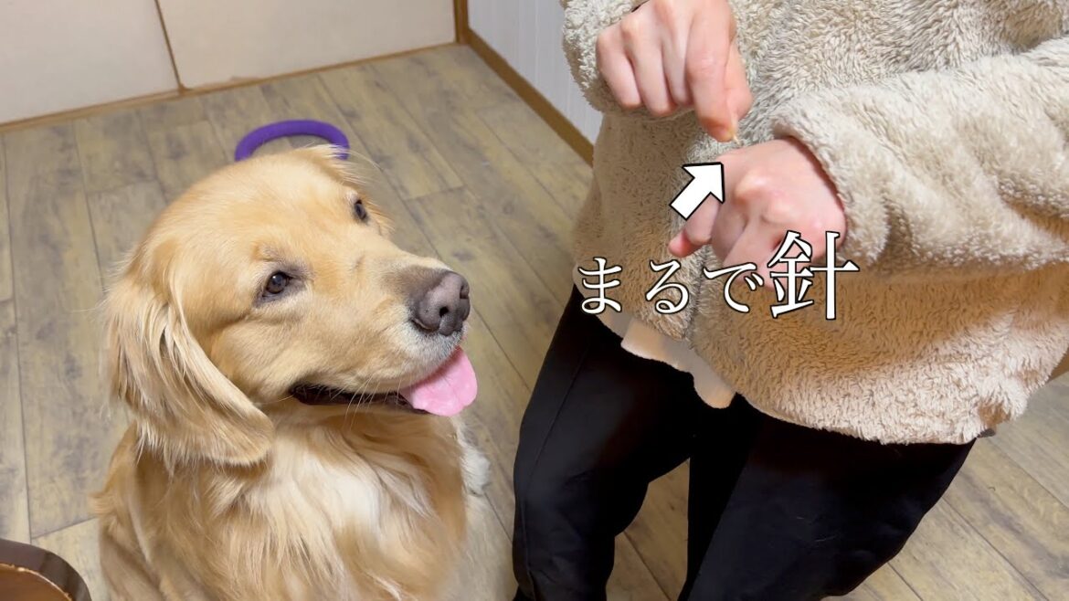 【要注意】誤飲が極めて危険だと気付かされた日 【要注意】誤飲が極めて危険だと気付かされた日