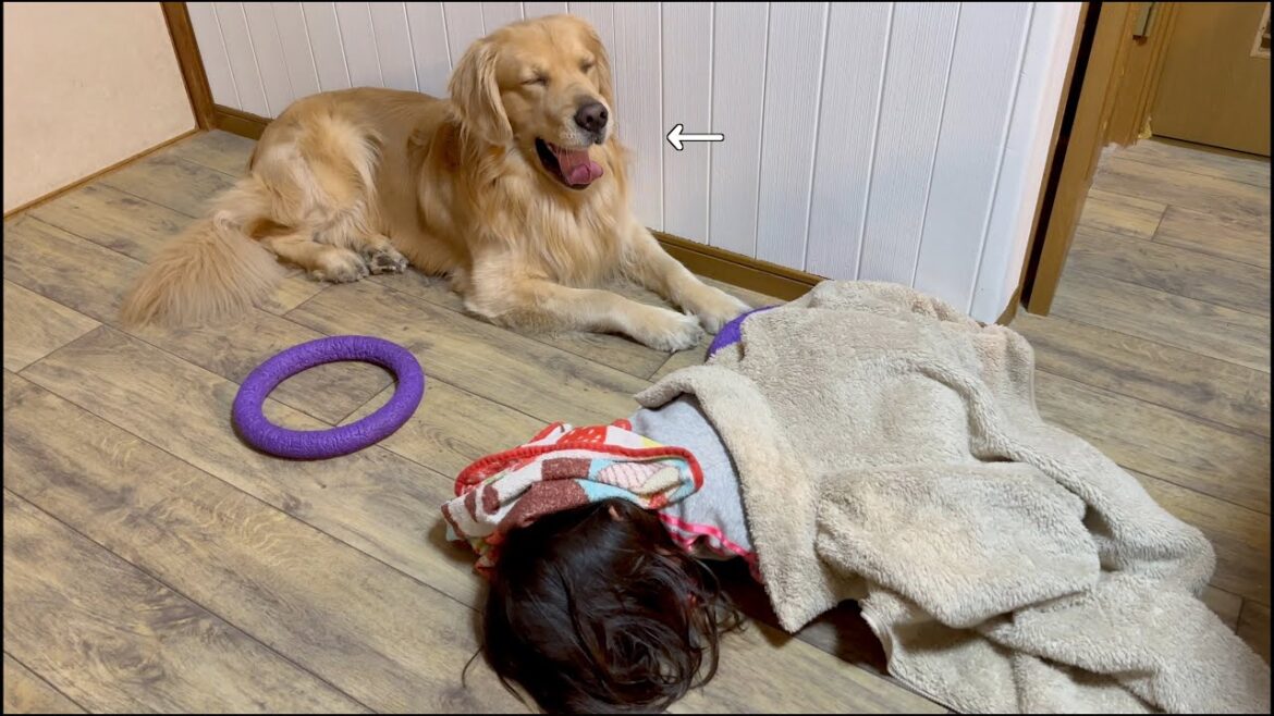 目の前で二度寝する娘に、覚醒してたのにだんだん眠くなる愛犬