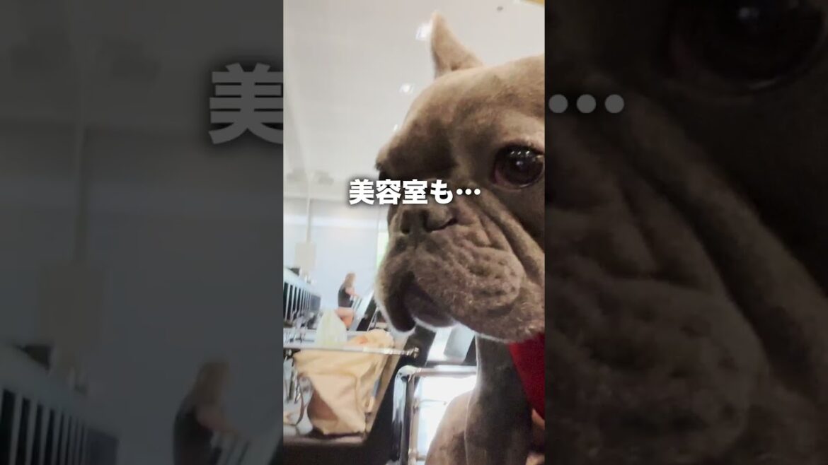 親バカ未婚男のしたい事… 親バカ未婚男のしたい事…