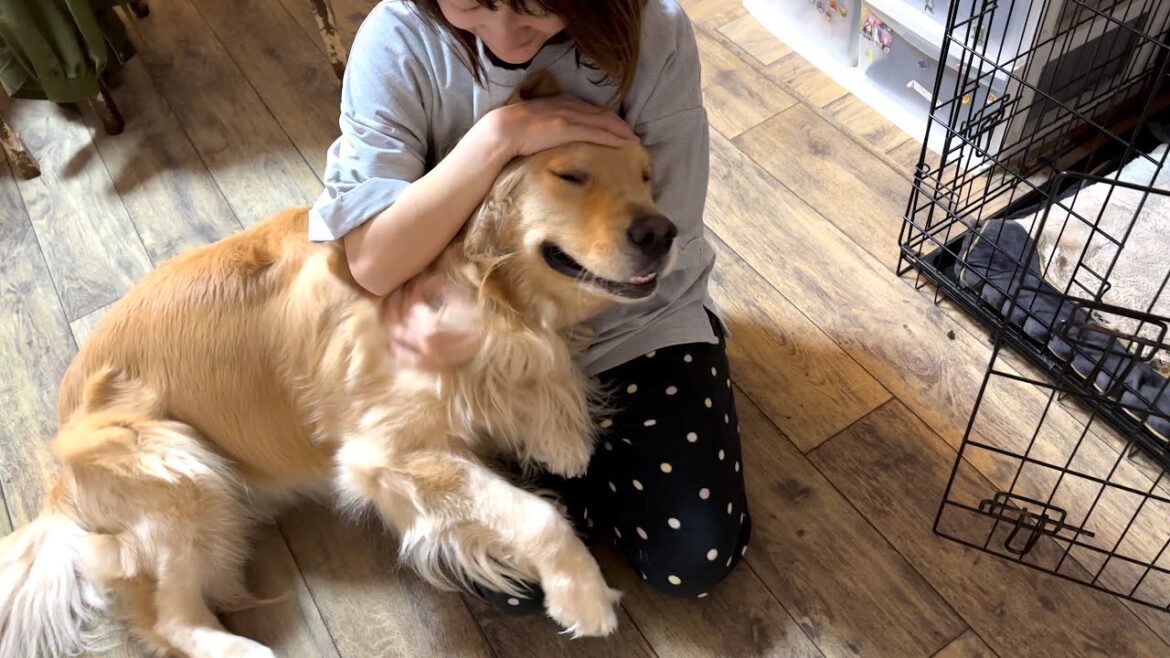 子供を寝かしつけるだけのはずが、一緒に寝てしまった母に２日分甘える愛犬