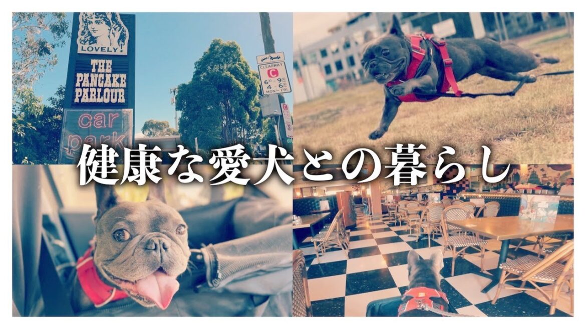 【椎間板ヘルニア】完全克服で日常ルーティンに戻れる日は？