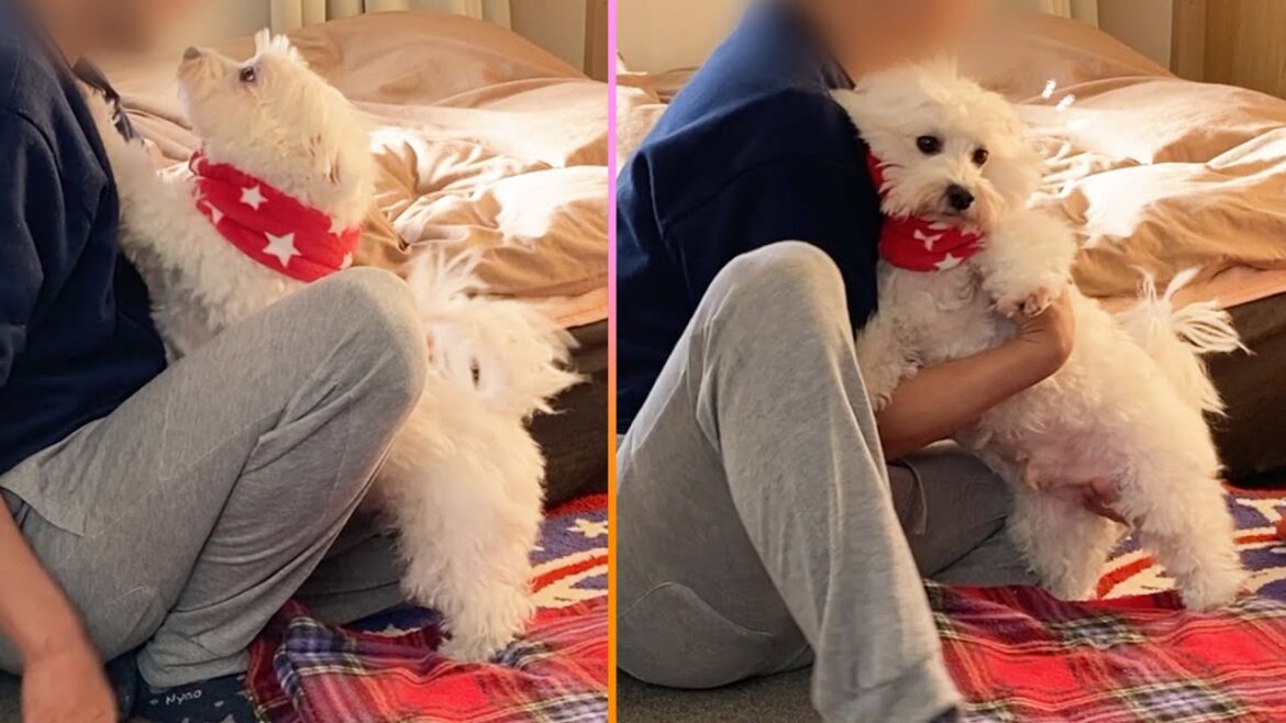 嬉しくなって抱き付いて来たぽんくん