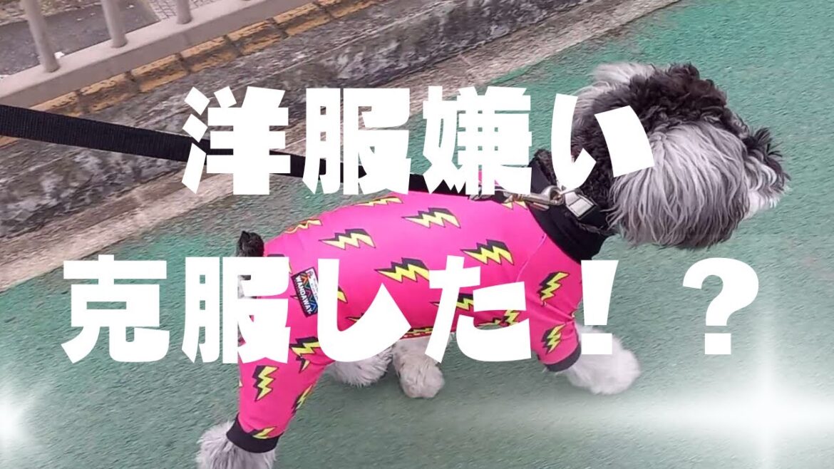 ワンダウェイつるつるロンパースを着てみたら・・・。