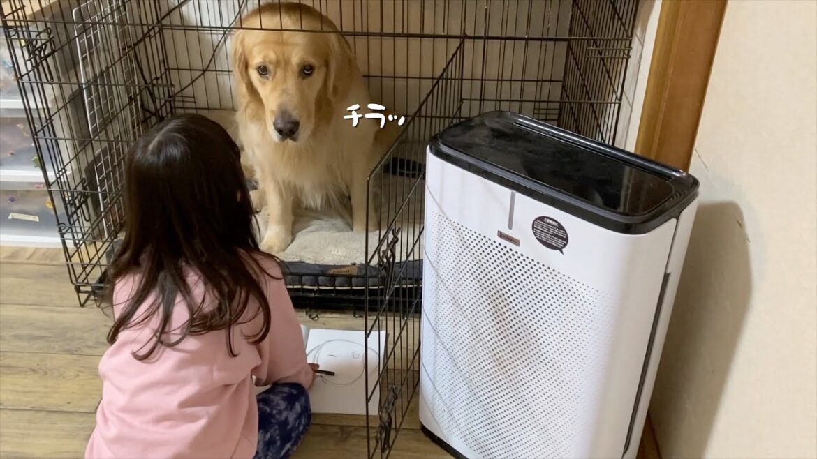 勝手に絵のモデルにされた愛犬の憂鬱をよそに、筆が止まらない娘 勝手に絵のモデルにされた愛犬の憂鬱をよそに、筆が止まらない娘