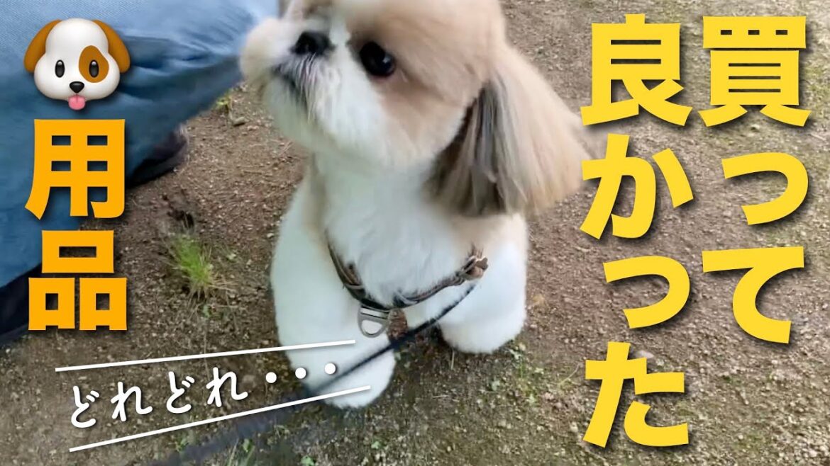 【シーズー】こんなに便利なグッズがあった！買って良かったお散歩アイテム犬用品。【047】