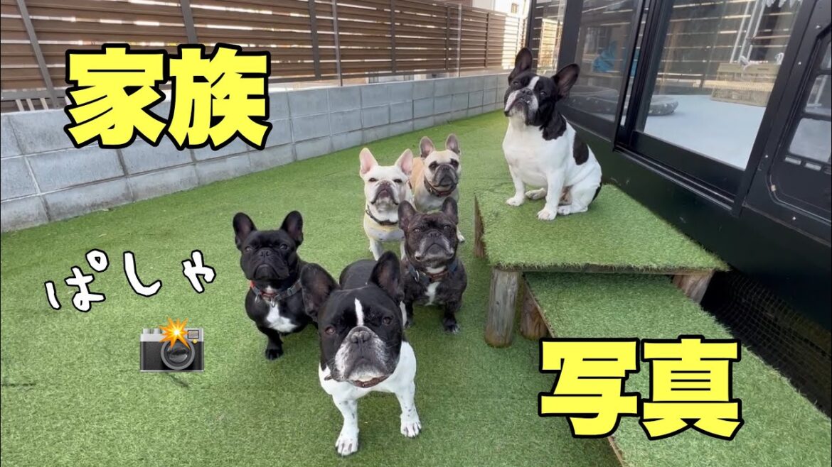 事あるごとにフォーメーションを組むフレブル6兄弟 事あるごとにフォーメーションを組むフレブル6兄弟