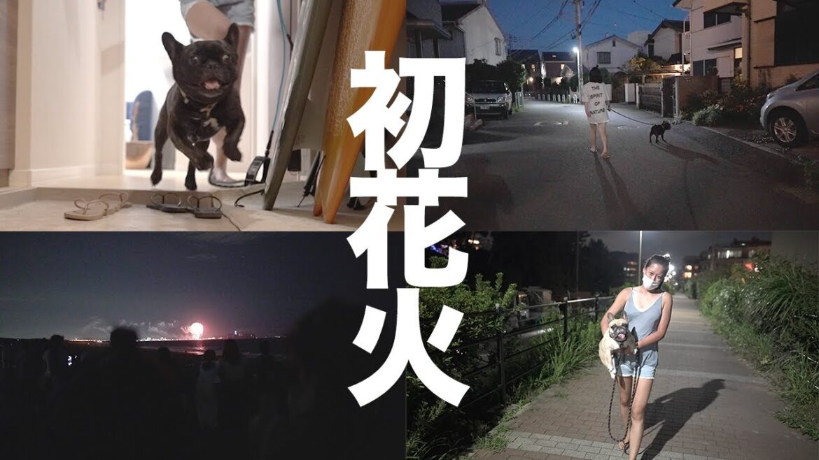 【VLOG】フレンチブルドッグと行く花火大会が短すぎたw / French Bulldog's First Time Watching Fireworks!