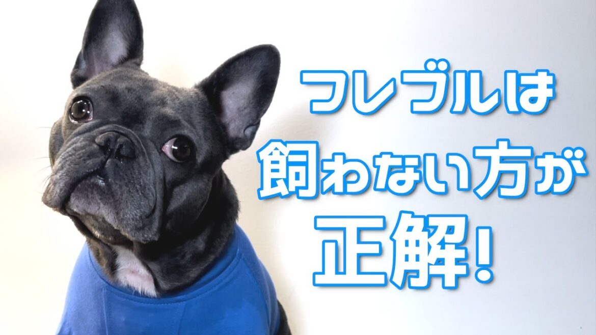 教科書では教えてくれないフレブルを飼わない方が良い人５選