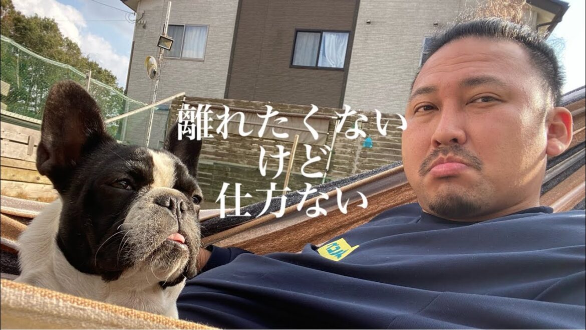 引越し先がペット不可なんでこの犬を保健所に持って行きます 引越し先がペット不可なんでこの犬を保健所に持って行きます