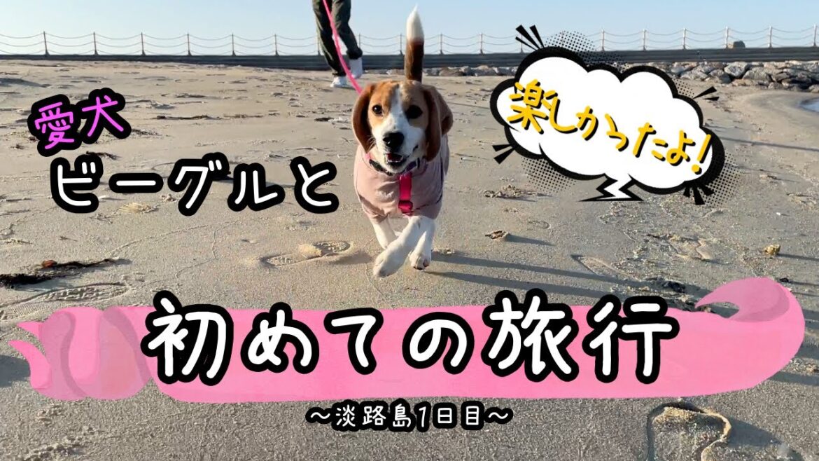 愛犬と初めての旅行～淡路島～