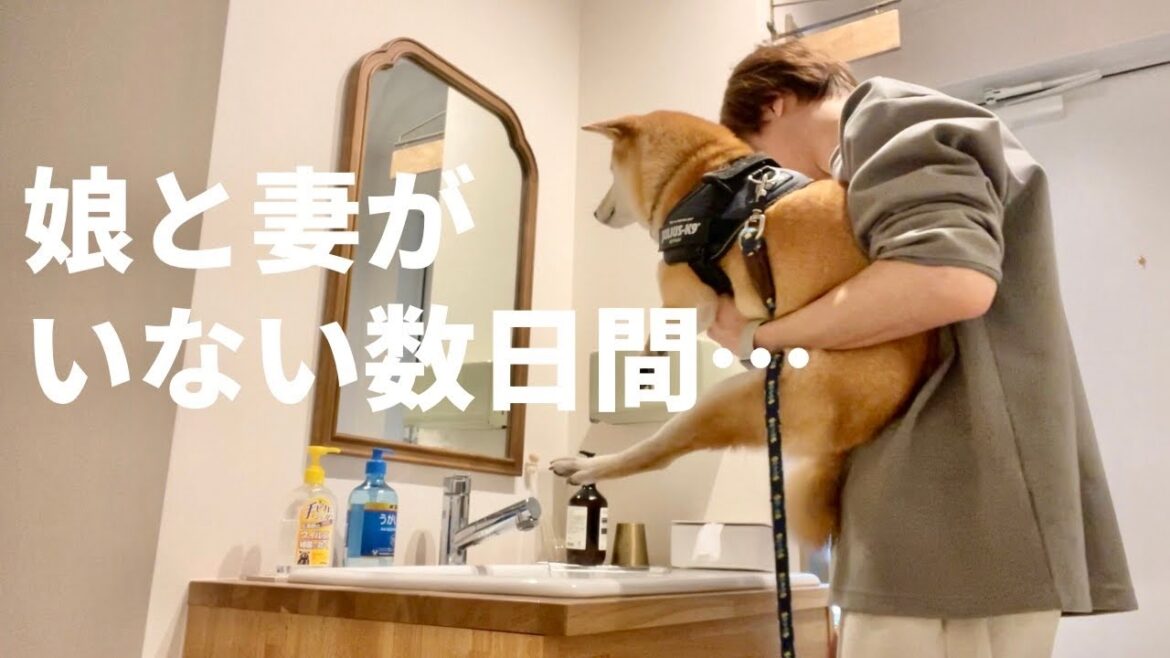 娘と妻がいない数日間。。りんご郎と父でのんびり過ごす事にしました 娘と妻がいない数日間。。りんご郎と父でのんびり過ごす事にしました