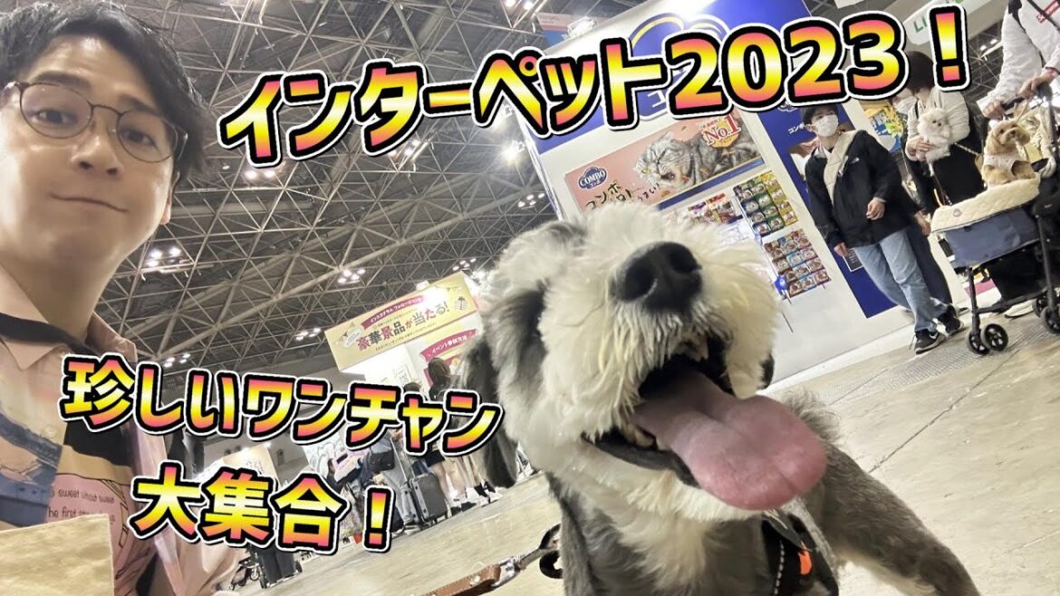 インターペット2023参戦！たくさんのお店&ワンチャン達との出会いにテンション爆上げのミニシュナ伝助さんとさらに爆上げの飼い主！