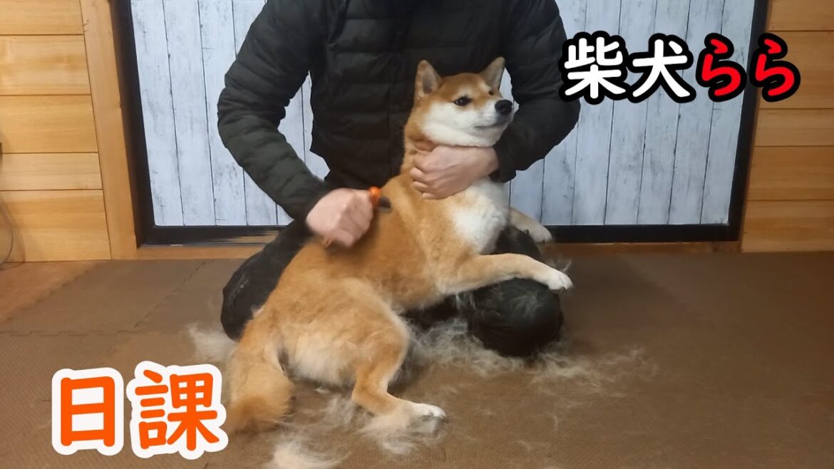 日課
