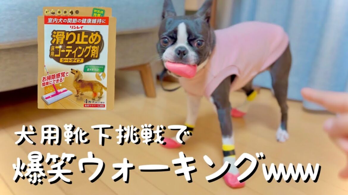 我が家の床滑り止め対策 行き着いたのはこれ♪【リンレイ滑り止めコーティング剤シートタイプ】 我が家の床滑り止め対策 行き着いたのはこれ♪【リンレイ滑り止めコーティング剤シートタイプ】