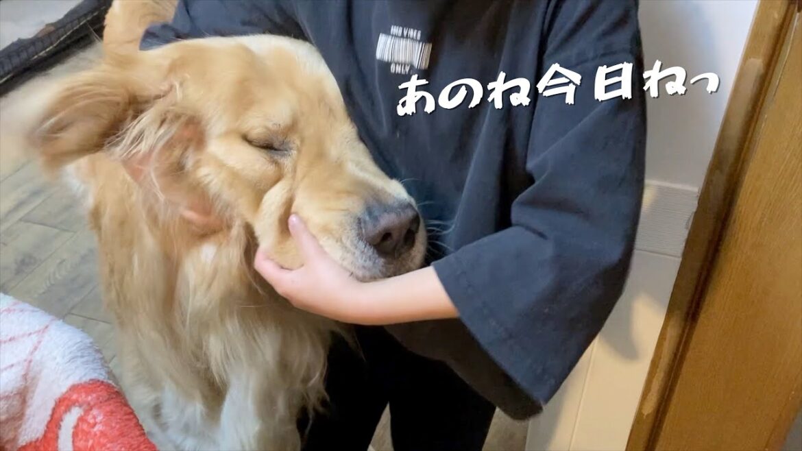 常に愛犬を撫で回しながら新学期の出来事を話す娘