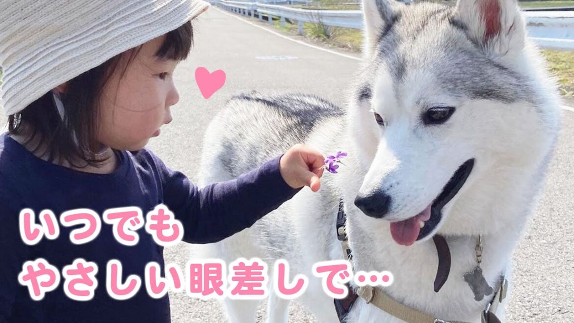 ぼくたちいつも一緒だよ。優しい兄と姉に見守られて成長する妹ちゃんの日々。