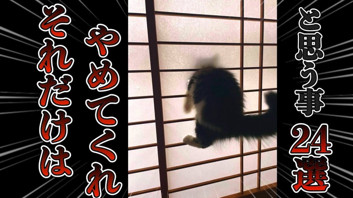 猫と暮らしてて『それだけはやめてくれ』と思う事