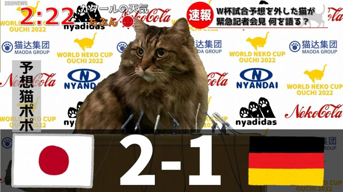 【猫ニュース】猫がW杯 日本 対 ドイツの試合結果の予想を的中させたらしいです。