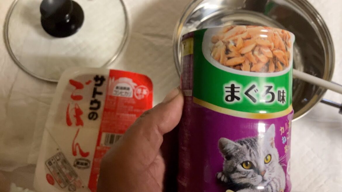 食欲不振の甲斐犬トラオくんにご飯作ってみた