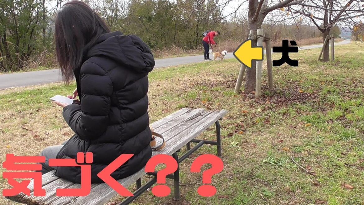 【300万再生回数突破】お散歩中に１ヶ月以上会ってなかった母親がいたら犬は気づくのか？【ブルドッグ】